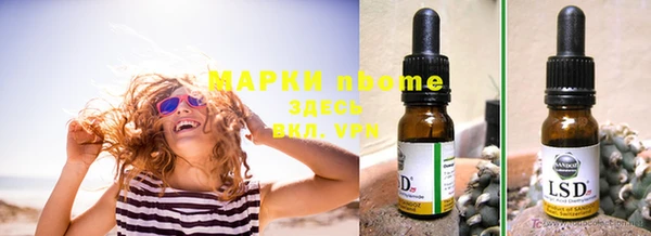 бошки Богданович