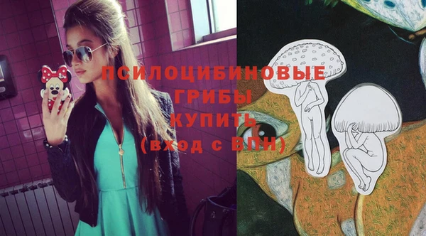 бошки Богданович
