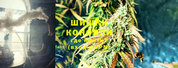 бошки Богданович