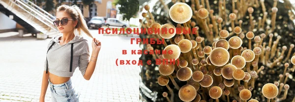 герыч Богородицк
